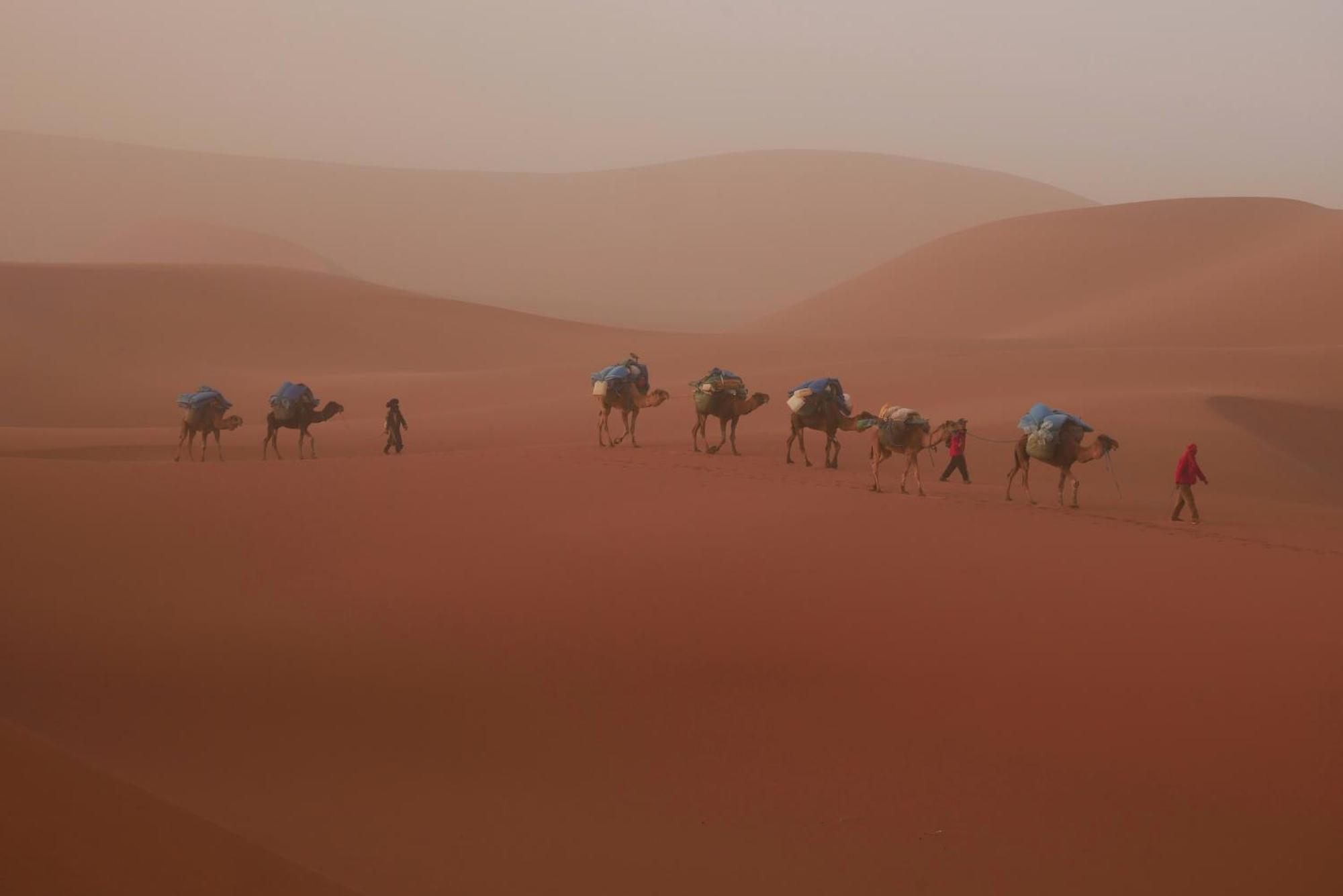 jardin du desert M'Hamid Eksteriør bilde