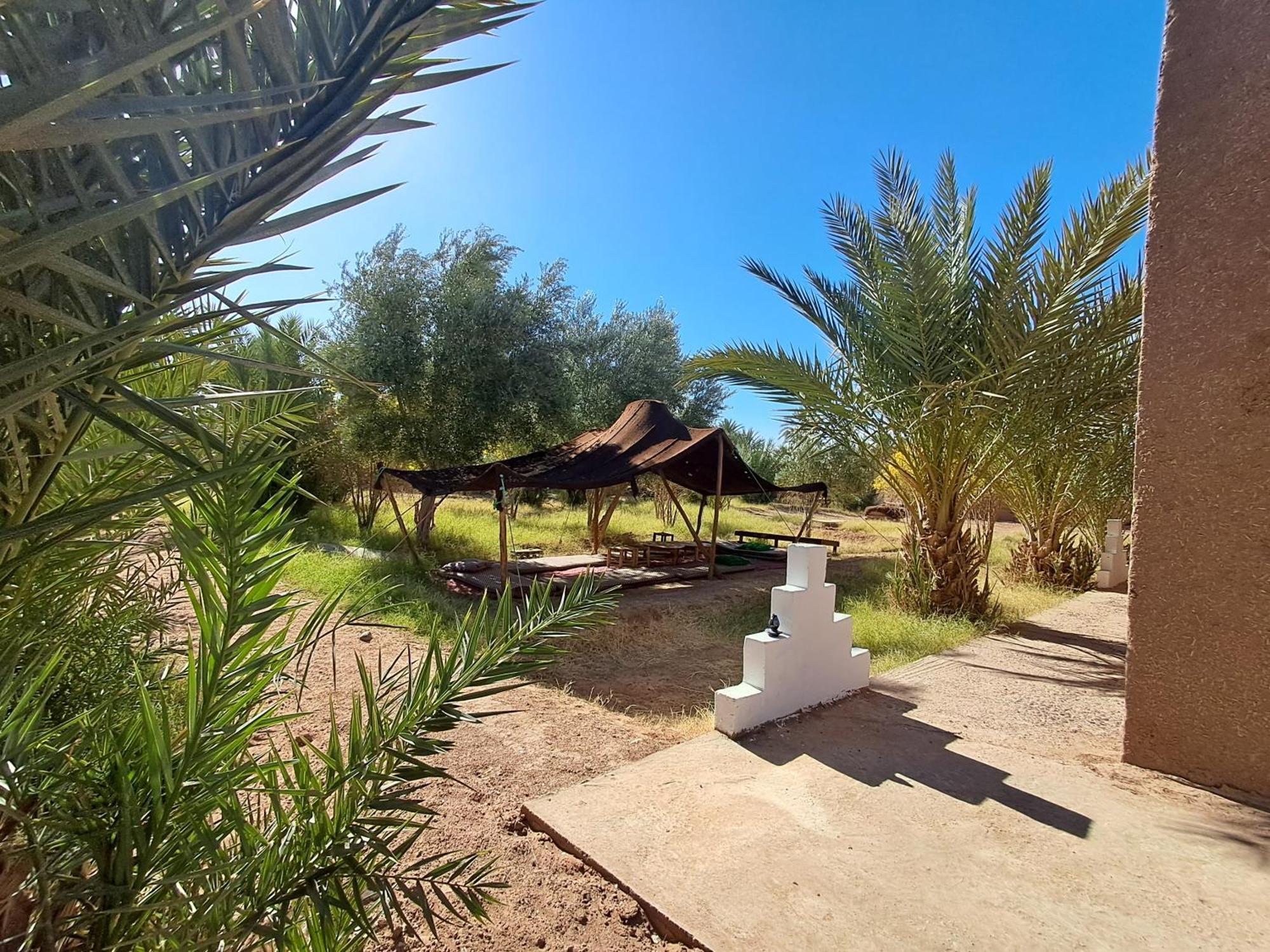 jardin du desert M'Hamid Eksteriør bilde