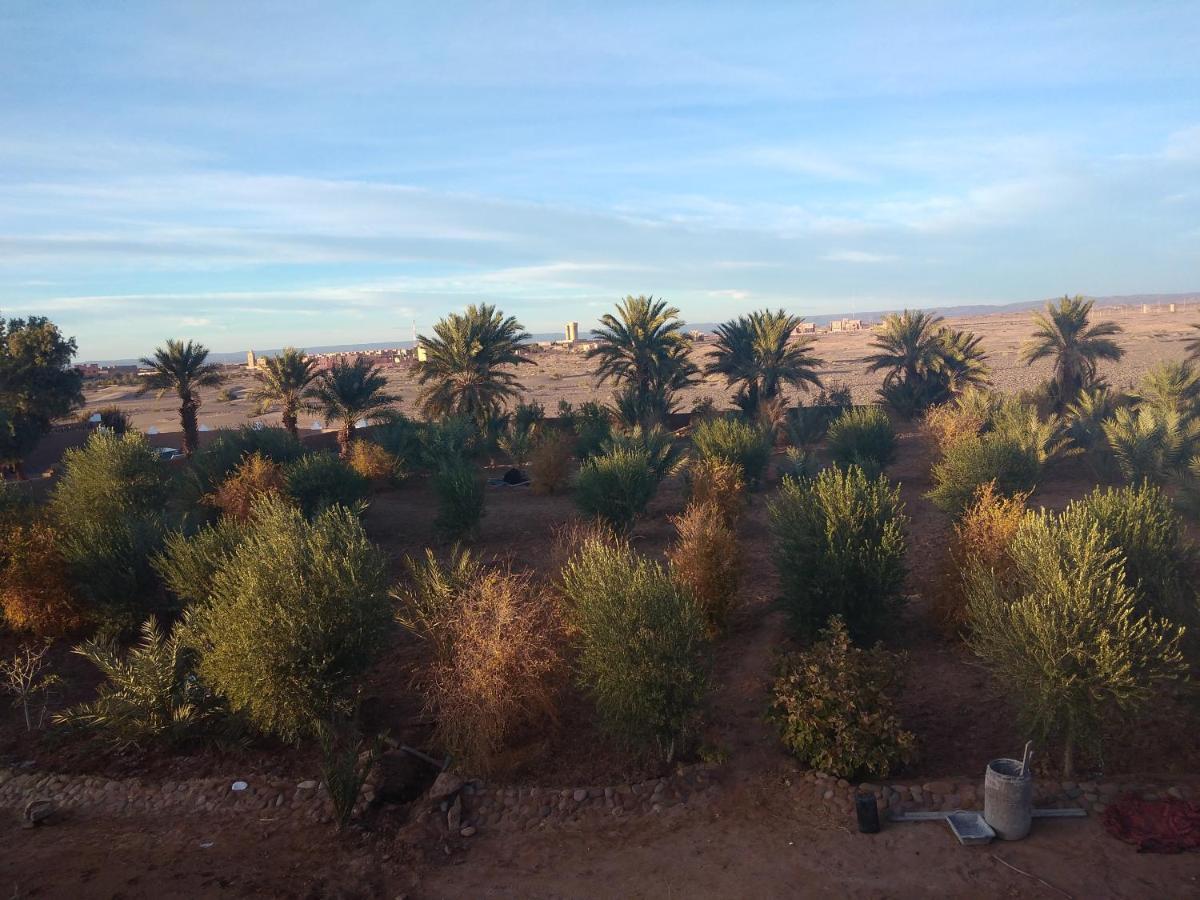 jardin du desert M'Hamid Eksteriør bilde